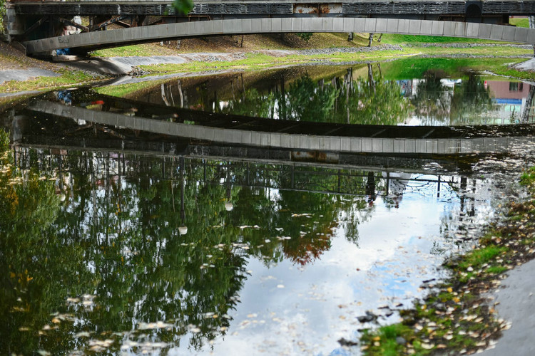 污水中氨氮