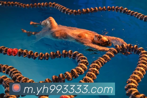 银河娱乐官网入口服务体系